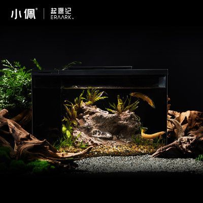 小佩魚缸pro 加熱：小佩魚缸pro加熱詳情 魚缸百科 第1張