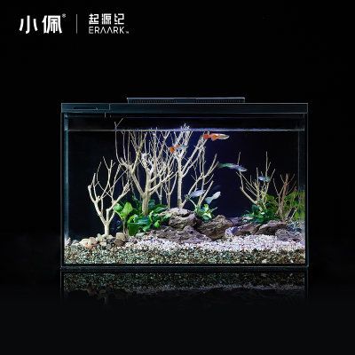 小佩魚缸pro 加熱：小佩魚缸pro加熱詳情 魚缸百科 第2張