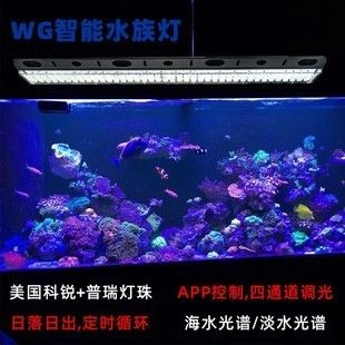 魚缸燈app：魚缸燈app是一款專為觀賞魚類打造的照明工具 魚缸百科 第2張