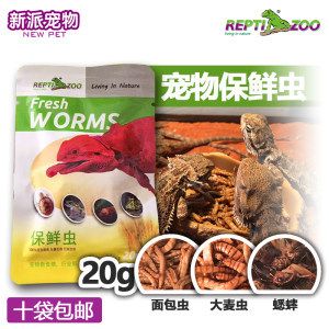 龍魚可以吃鸚鵡魚飼料嗎：龍魚能吃鸚鵡魚飼料嗎 龍魚百科 第4張