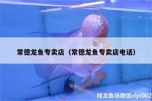 常德龍魚專賣店：常德龍魚專賣店和常德龍魚專賣店電話 全國觀賞魚市場(chǎng) 第3張