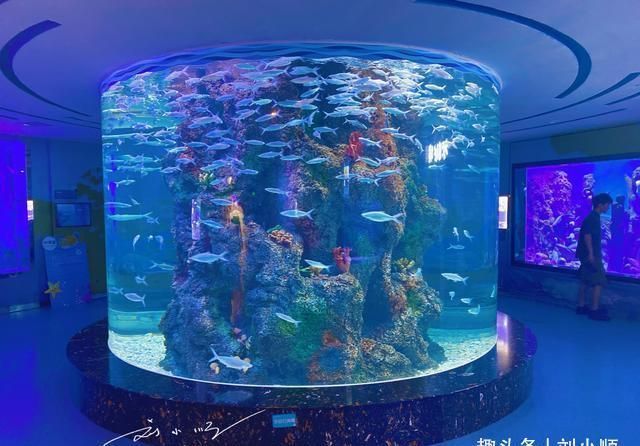 荊州水族館：荊州水族館， 全國(guó)觀賞魚市場(chǎng) 第3張