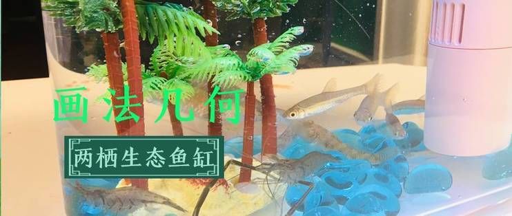 畫法幾何魚缸c500說明書：畫法幾何魚缸c500智能系統(tǒng)使用指南 魚缸百科 第5張