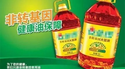 金龍魚品牌發(fā)展歷程：金龍魚品牌從小包裝食用油的開創(chuàng)者到多元化糧油市場(chǎng) 金龍魚百科 第5張