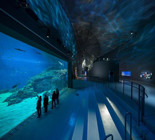 黑河水族館：黑河哪里有水族館 全國(guó)觀賞魚市場(chǎng) 第2張