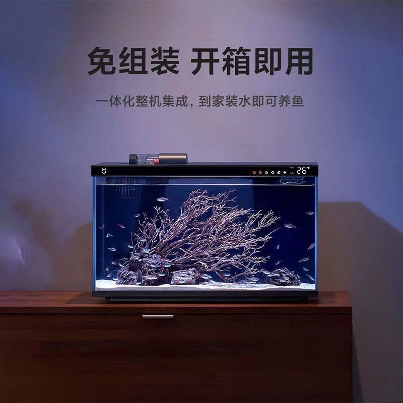 魚缸 出差：出差期間魚缸水質(zhì)維護(hù)的詳細(xì)步驟，魚缸水質(zhì)維護(hù)的詳細(xì)步驟 魚缸百科 第5張