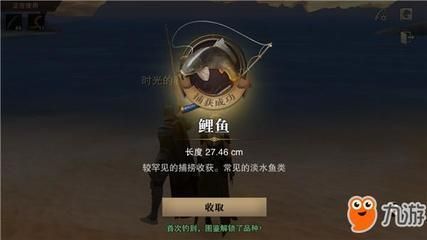 紅龍魚品牌不重要的原因是什么：紅龍魚品牌在消費者心中的重要性 水族問答 第2張