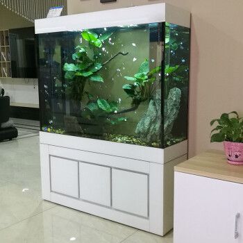 江彩水族的魚缸怎么樣：江彩水族魚缸與其他品牌的對比 魚缸百科 第3張