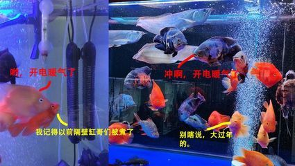 如何防止魚(yú)缸水溫驟降：水溫的驟降對(duì)魚(yú)缸中的魚(yú)缸中的魚(yú)和其他生物是一種嚴(yán)重的威脅 魚(yú)缸百科 第4張