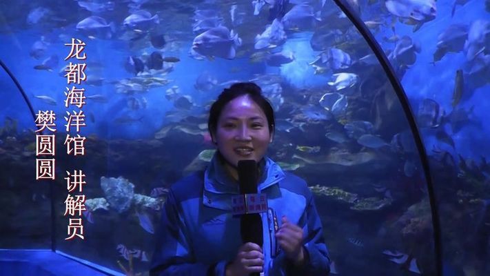 信陽水族館 全國觀賞魚市場 第1張