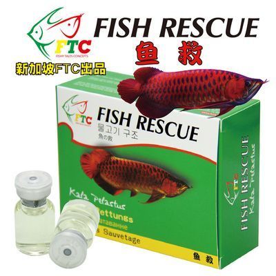 新加坡紅龍魚長大后發(fā)色了嗎：新加坡紅龍魚發(fā)色的最佳時期 紅龍魚百科 第4張