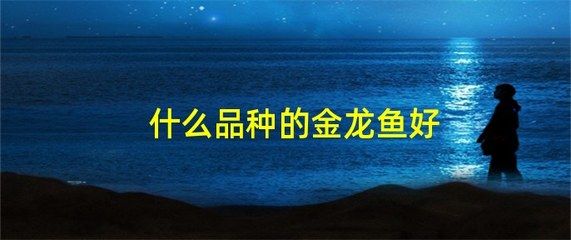 過背金龍魚可以吃嗎有毒嗎會死嗎圖片：過背金龍魚不建議食用，安全起見 金龍魚百科 第5張