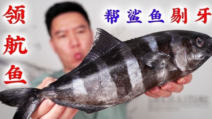 紅龍魚(yú)是橙紅色的嗎：紅龍魚(yú)的體色是橙紅色嗎？ 水族問(wèn)答 第1張