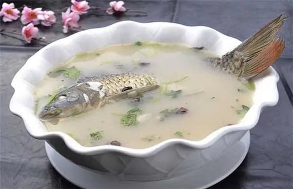 夏季龍鳳鯉飼料選擇指南：夏季龍鳳鯉飼料品牌推薦，龍鳳鯉飼料保存方法 龍魚百科 第5張