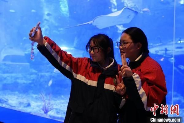 果洛藏族自治州水族館：果洛藏族自治州 全國觀賞魚市場 第3張