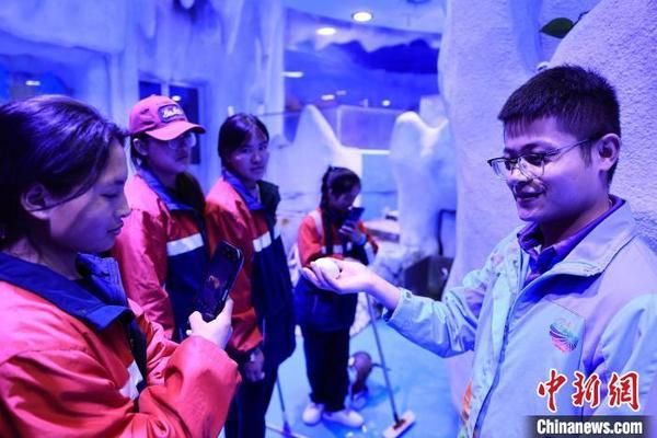 果洛藏族自治州水族館：果洛藏族自治州 全國觀賞魚市場 第2張