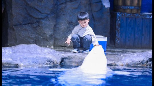 鄭州水族館：鄭州十大適合端午旅游的地方no.6鄭州十大最適合端午旅游的地方 全國(guó)觀賞魚市場(chǎng) 第3張