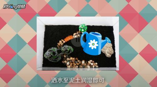 魚缸操作方法：魚缸操作方法和注意事項(xiàng) 魚缸百科 第1張