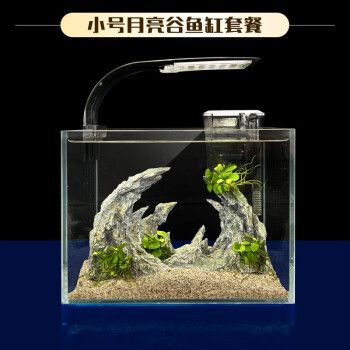 涵瑤伊笑魚缸：涵瑤伊笑魚缸裝飾品用戶評(píng)價(jià)涵瑤伊笑魚缸裝飾品用戶評(píng)價(jià) 魚缸百科 第2張