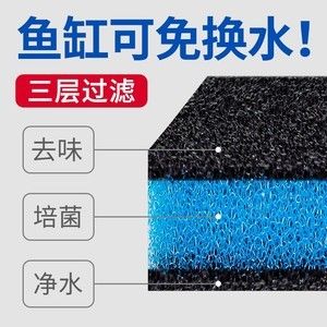 魚缸魔毯的正確用法：關(guān)于魚缸魔毯的正確使用方法 魚缸百科 第2張