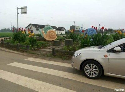 眉山水族館：周記初中暑假周記(一) 全國觀賞魚市場 第2張