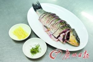 紅龍魚四大品牌是哪四個(gè)：關(guān)于紅龍魚四大品牌的問題 水族問答 第1張