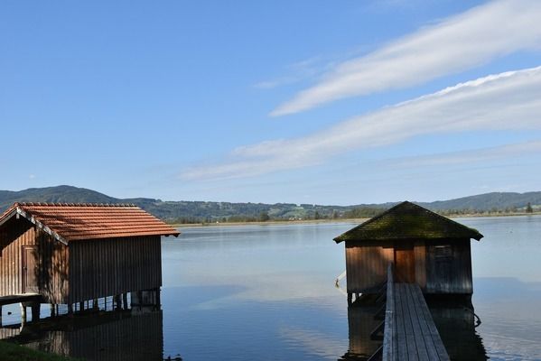 伊春觀賞魚批發(fā)市場：伊春觀賞魚市場 全國觀賞魚市場 第3張