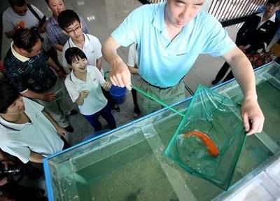 通遼水族館：內蒙古通遼市科爾沁區(qū)施介路鑫豐利水族館通遼水族館