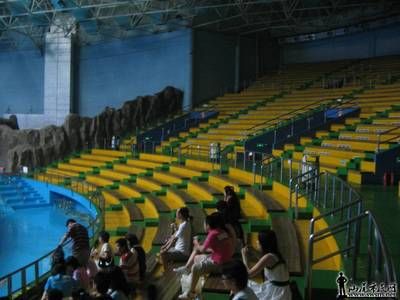 汕尾水族館 全國觀賞魚市場 第3張