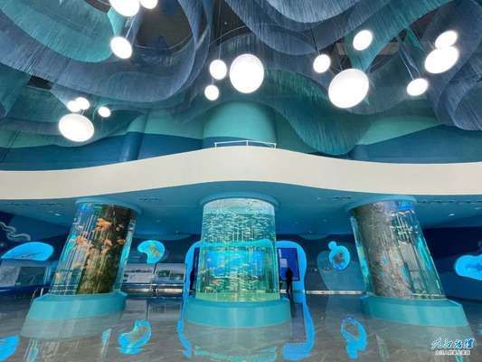 汕尾水族館 全國觀賞魚市場 第9張