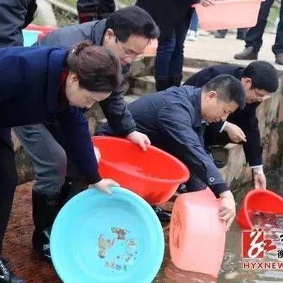 水霉病藥物使用注意事項：水霉病藥物使用注意事項介紹 龍魚百科 第2張