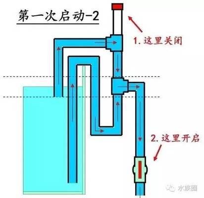 魚缸虹吸圖解：魚缸虹吸底濾原理圖解 魚缸百科 第5張