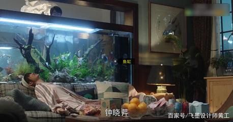 紅龍魚跳缸后一直不吃食了：在紅龍魚跳缸后，它可能因驚嚇而失去食欲，為了幫助紅龍魚恢復(fù)正常飲食 水族問答 第4張