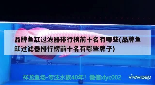 品牌魚缸過濾器排名榜前十名：2024年品牌魚缸過濾器排名榜前十名 魚缸百科 第2張