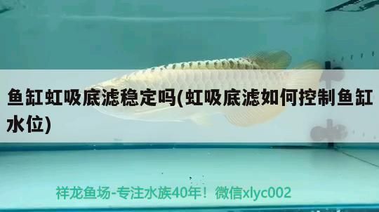 新鄉(xiāng)水族批發(fā)市場(chǎng) 全國(guó)觀賞魚市場(chǎng) 第6張