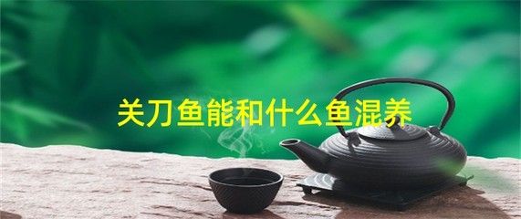 紅龍魚尾巴發(fā)黑的原因：如何判斷紅龍魚尾巴是否真正變黑？ 水族問答