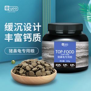 豬鼻龜養(yǎng)多久成年可以吃飼料 豬鼻龜百科 第4張