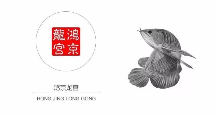 鴻京龍宮紅龍魚怎么樣：鴻京龍宮紅龍魚市場價格對比鴻京龍宮紅龍魚市場價格對比 紅龍魚百科 第2張