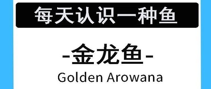 紅龍魚喂金蛙好嗎：關(guān)于紅龍魚喂食金蛙的疑問 水族問答 第1張