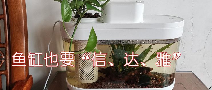 畫法幾何魚缸如何拆：畫法幾何魚缸拆卸詳情 魚缸百科 第3張