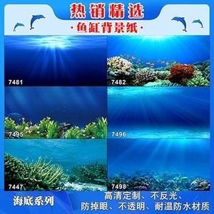 魚缸背景貼紙怎樣粘貼：魚缸背景貼紙的粘貼方法 魚缸百科 第3張