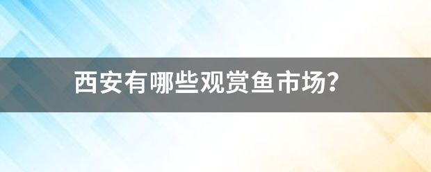 西安觀賞魚批發(fā)市場：西安西安觀賞魚批發(fā)市場(市場 全國觀賞魚市場 第5張