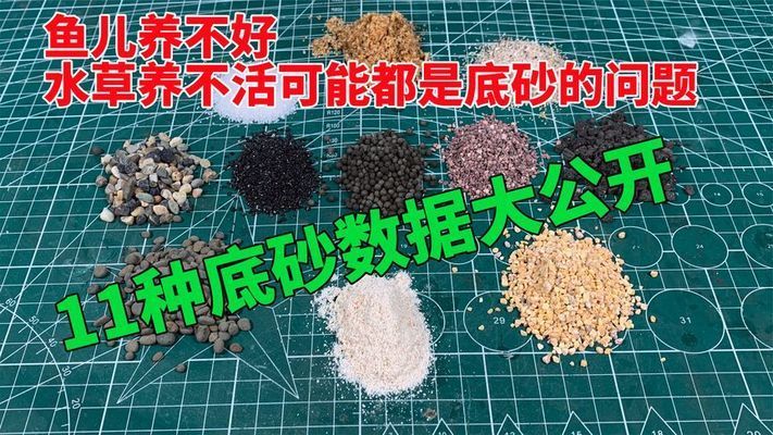 魚缸底砂化學(xué)穩(wěn)定性檢測：魚缸底砂化學(xué)穩(wěn)定性檢測方法，魚缸底砂自我檢測方法 魚缸百科 第2張