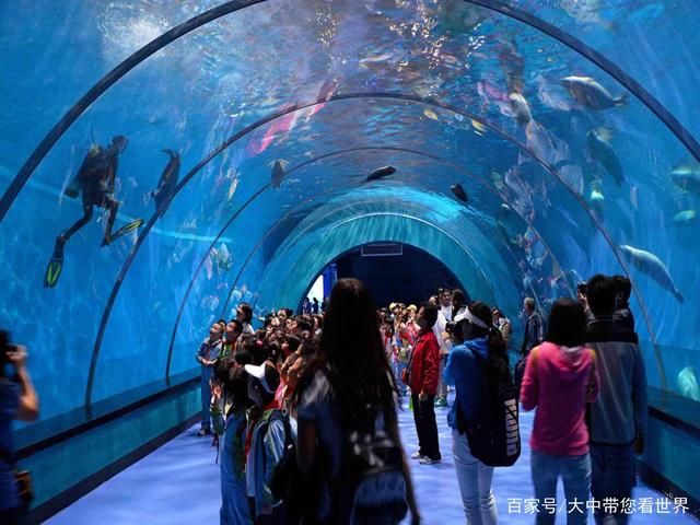 藍(lán)天水族館：廣州庫(kù)爾勒海藍(lán)天水族館),云浮花鳥(niǎo)魚(yú)蟲(chóng)市場(chǎng) 全國(guó)觀賞魚(yú)市場(chǎng) 第2張