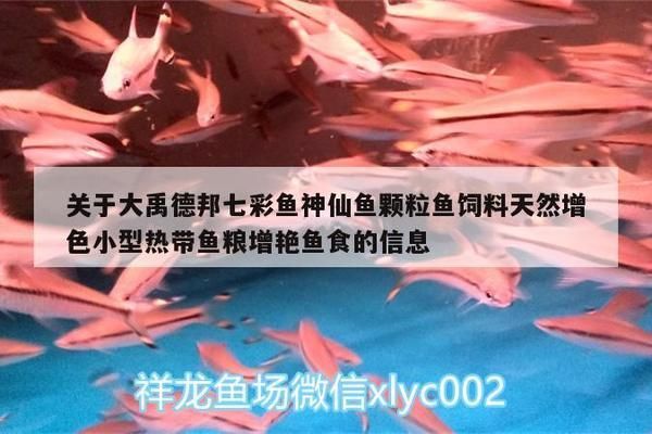 大禹水族魚缸怎么樣啊：大禹水族魚缸用戶評(píng)價(jià)匯總 魚缸百科 第3張