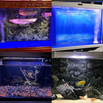 國內(nèi)品牌魚缸：佳寶jebo水族箱國家標準水族箱國家標準 魚缸百科 第4張