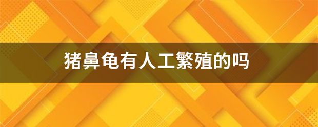 豬鼻龜人工繁殖視頻播放：豬鼻龜人工繁殖視頻和豬鼻龜怎么繁殖視頻對(duì)應(yīng)的相關(guān)信息 豬鼻龜百科 第9張