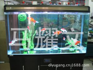 大連魚缸批發(fā)市場：大連魚缸批發(fā)市場在哪里