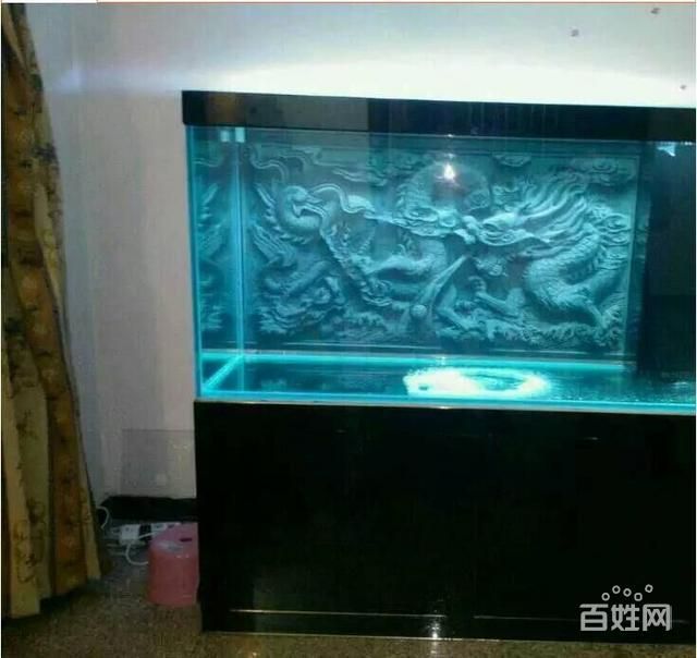 威海魚缸廠 魚缸百科 第3張