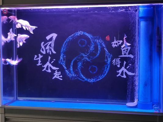 商洛水族館 全國(guó)觀賞魚市場(chǎng) 第7張